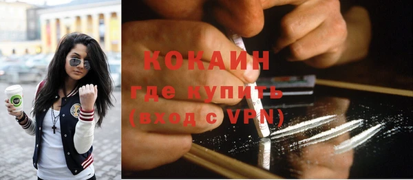 стаф Богданович
