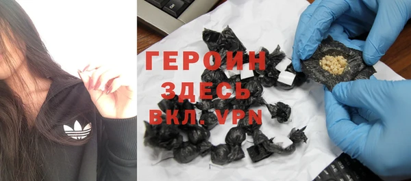 стаф Богданович