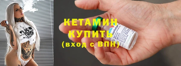 стаф Богданович