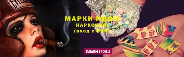 стаф Богданович