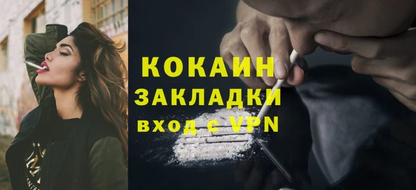 стаф Богданович