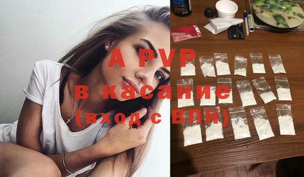 стаф Богданович