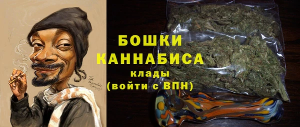стаф Богданович
