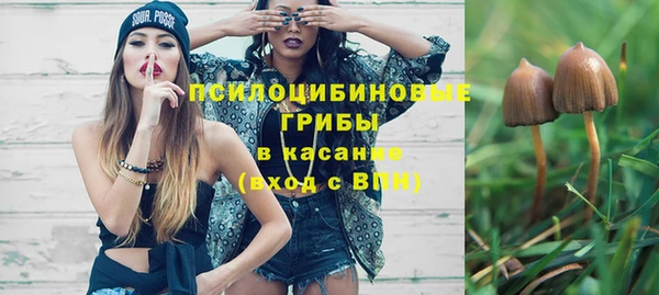 эйфоретик Богородск