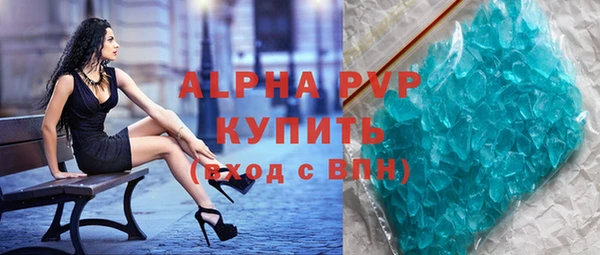 стаф Богданович