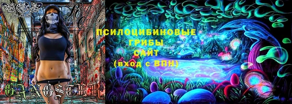 стаф Богданович