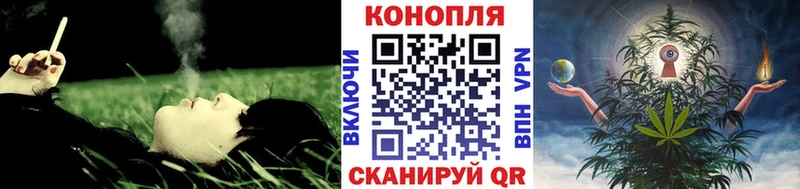 Бошки марихуана Bruce Banner  Купить где  Гуково 